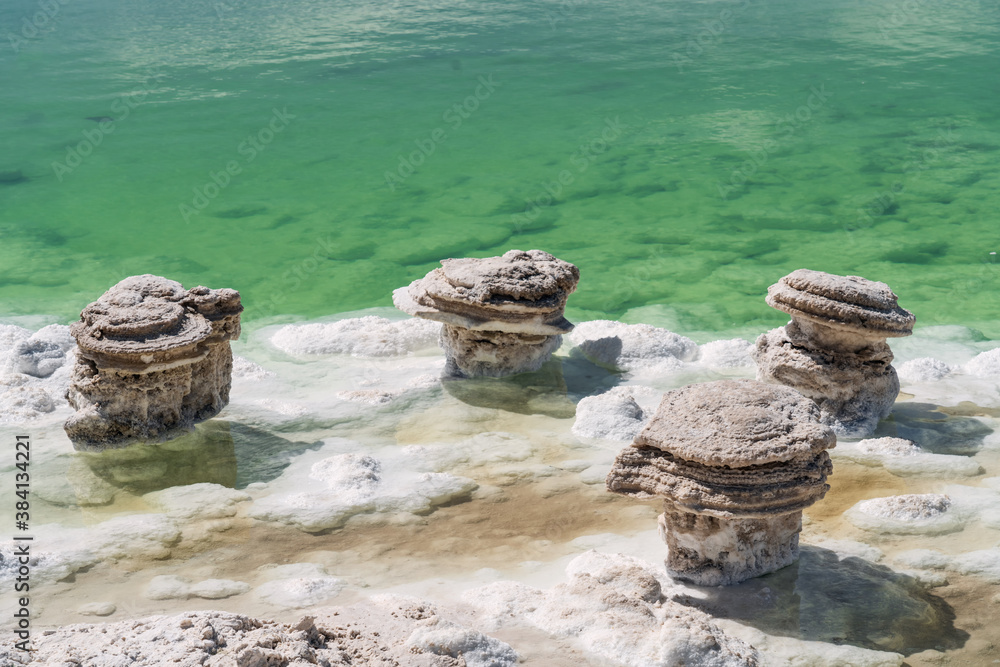 Salt stones by the green saline lake.