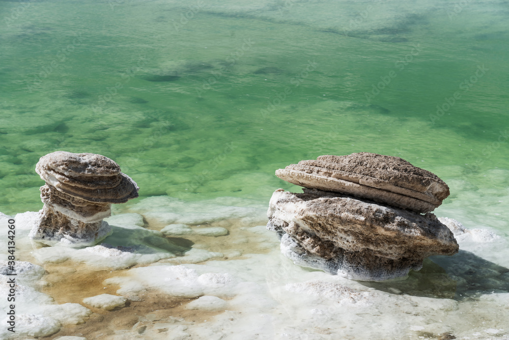 Salt stones by the green saline lake.