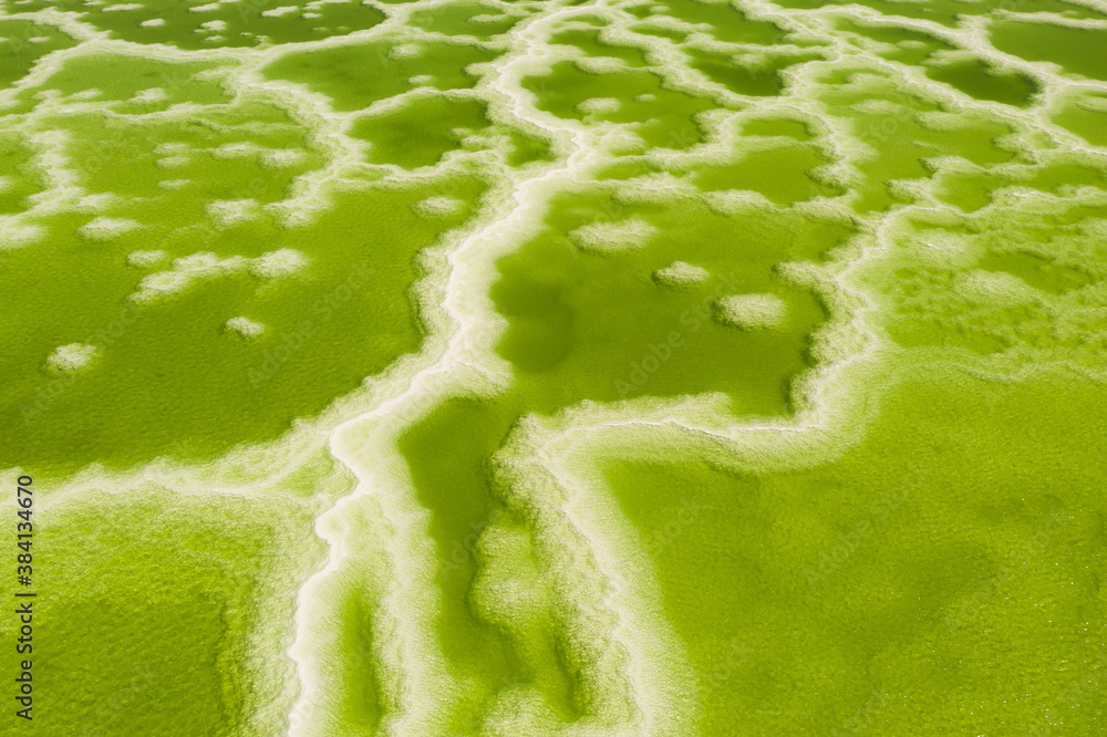 The green saline lake, natural lake background.