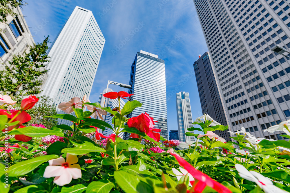 新宿の高層ビル群と綺麗な花