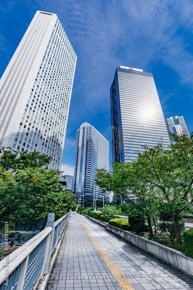 新宿の高層ビル群と青空と木