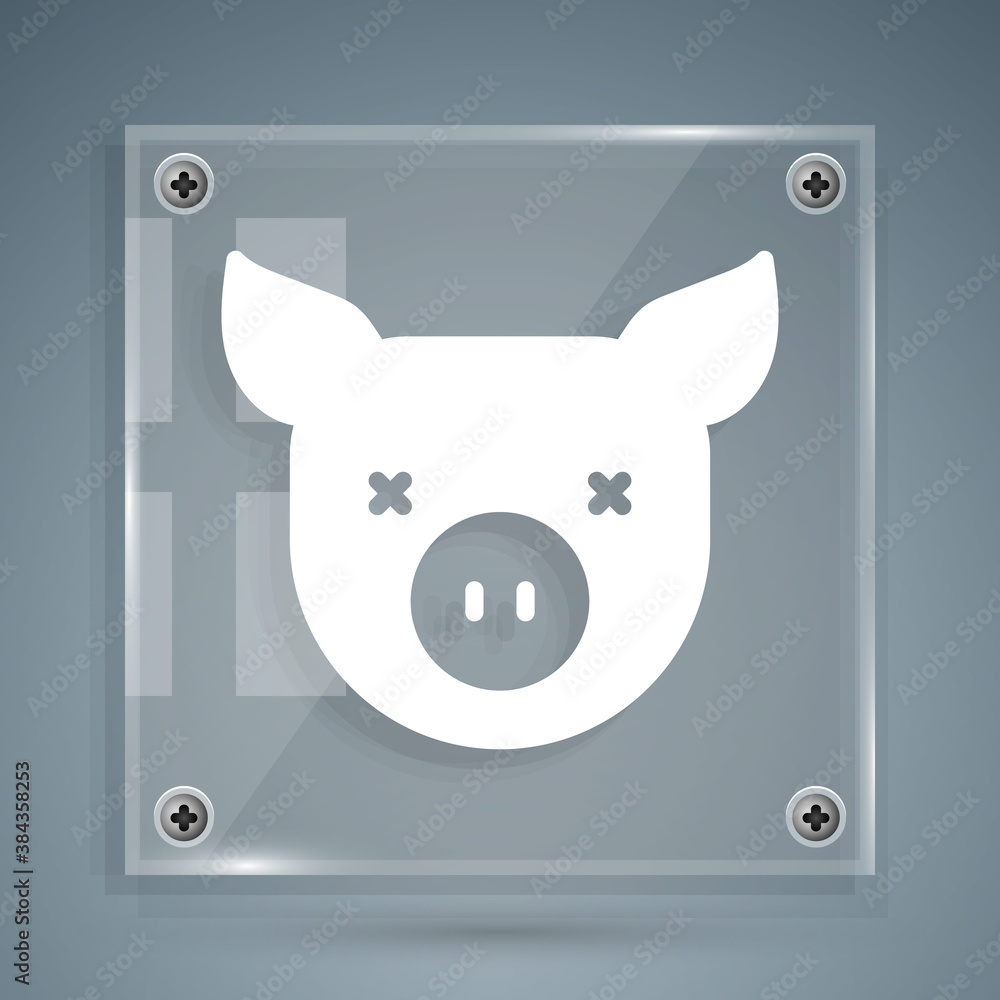 White Pig icon isolated on grey background. Animal symbol. Square glass panels. Vector.