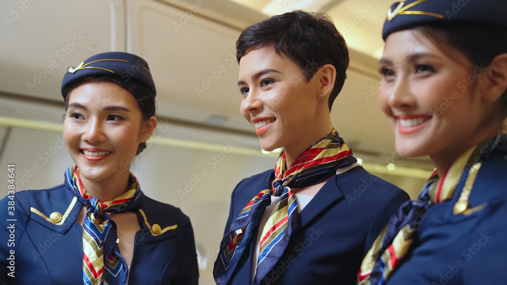 Group of cabin crew or air hostess in airplane . Airline transportation and tourism concept.