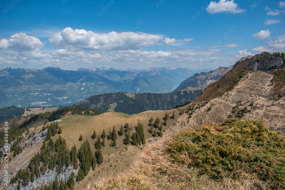 Beautiful swiss alps mountains. Alpine meadows.  