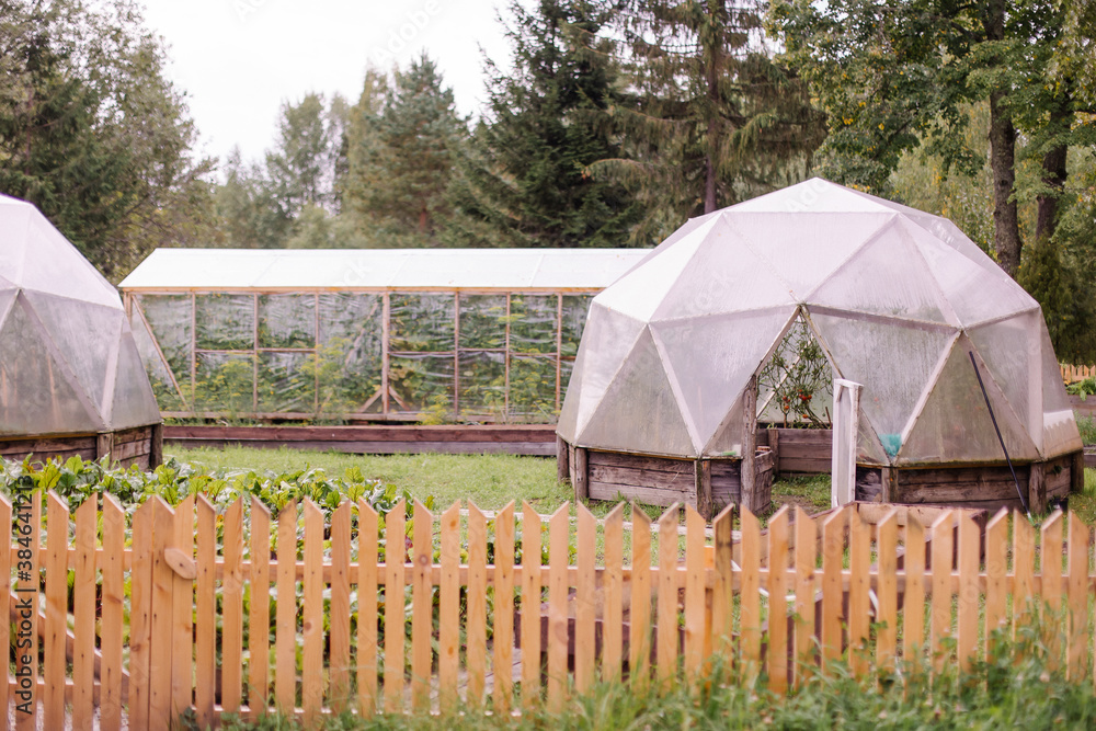 Stylish fashionable cozy greenhouse for growing vegetables in the form of a sphere ball. Plank hotho