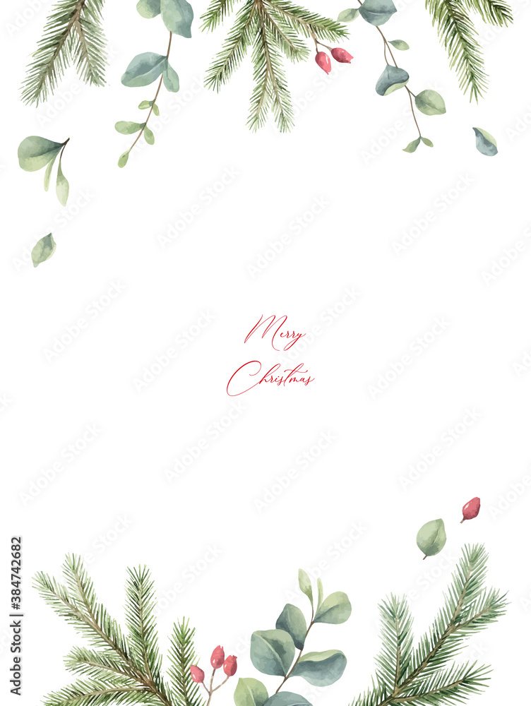 Watercolor vector Christmas card with fir branches, flowers and eucalyptus.