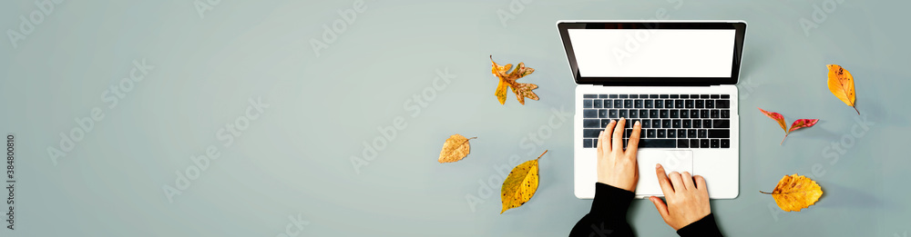 Autumn leaves with person using a laptop computer from above