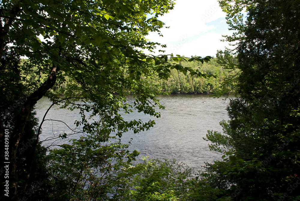 Rivière sous les arbres