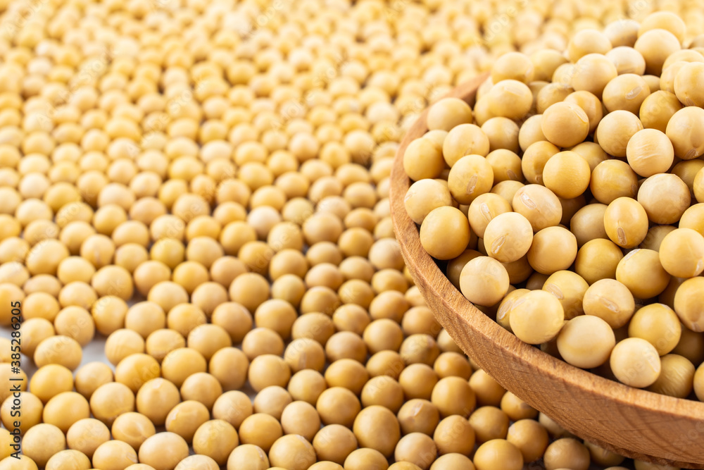 Full screen of golden soybeans