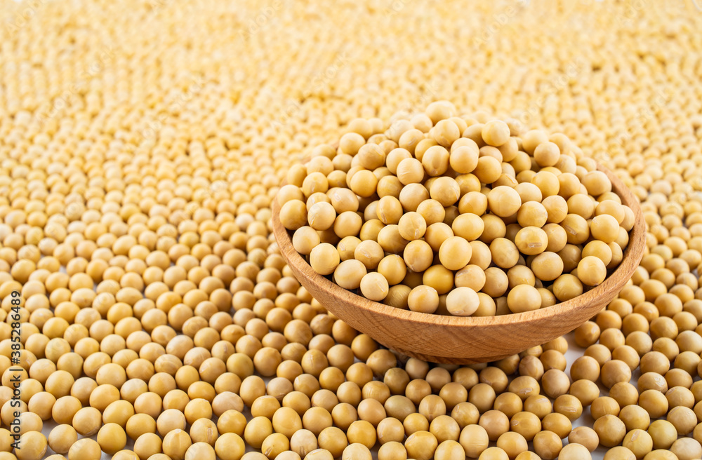 Full screen of golden soybeans