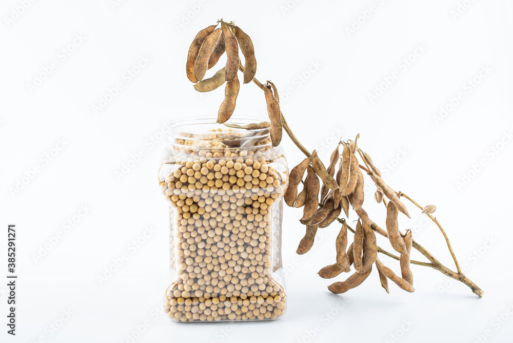 Soybeans in a jar on white background