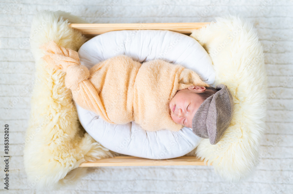 Newborn baby in costume sleeping in baby case