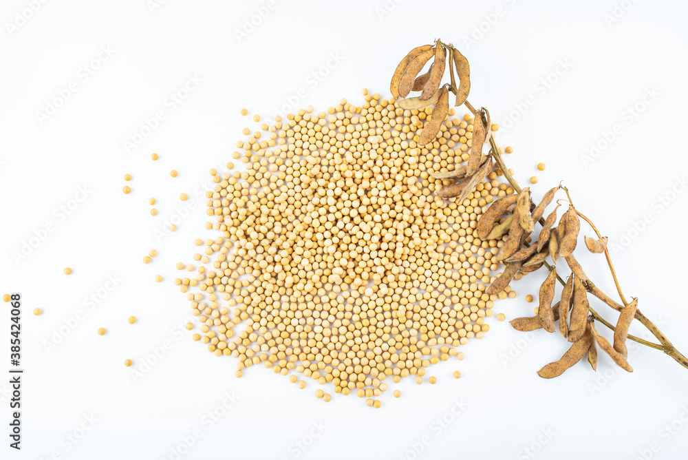 Soy beans and edamame pods on white background