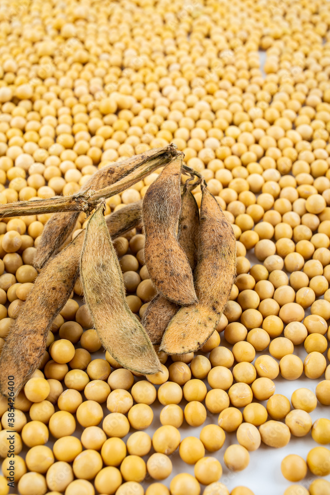 Soy beans and edamame pods on white background