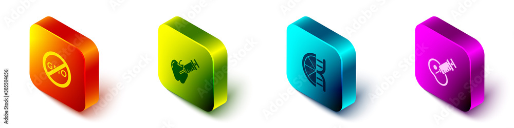 Set Isometric No GMO, Genetically modified apple, orange and meat icon. Vector.