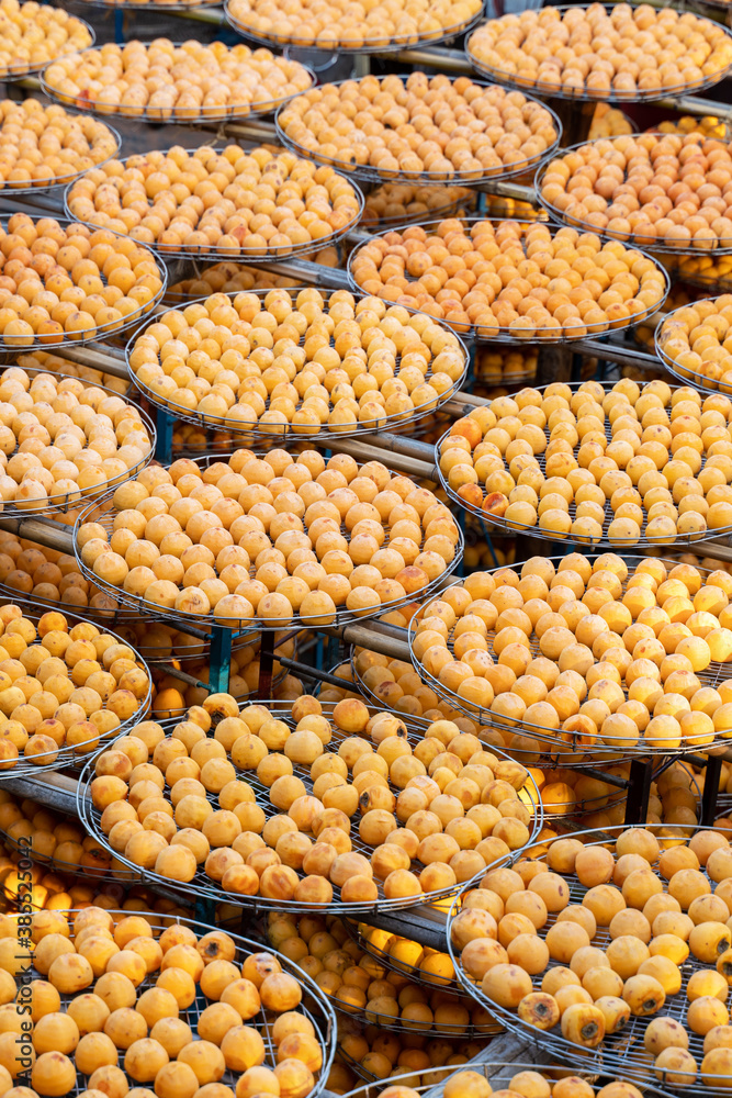 Making process of sun exposuring dried persimmon in a sieve in autumn.