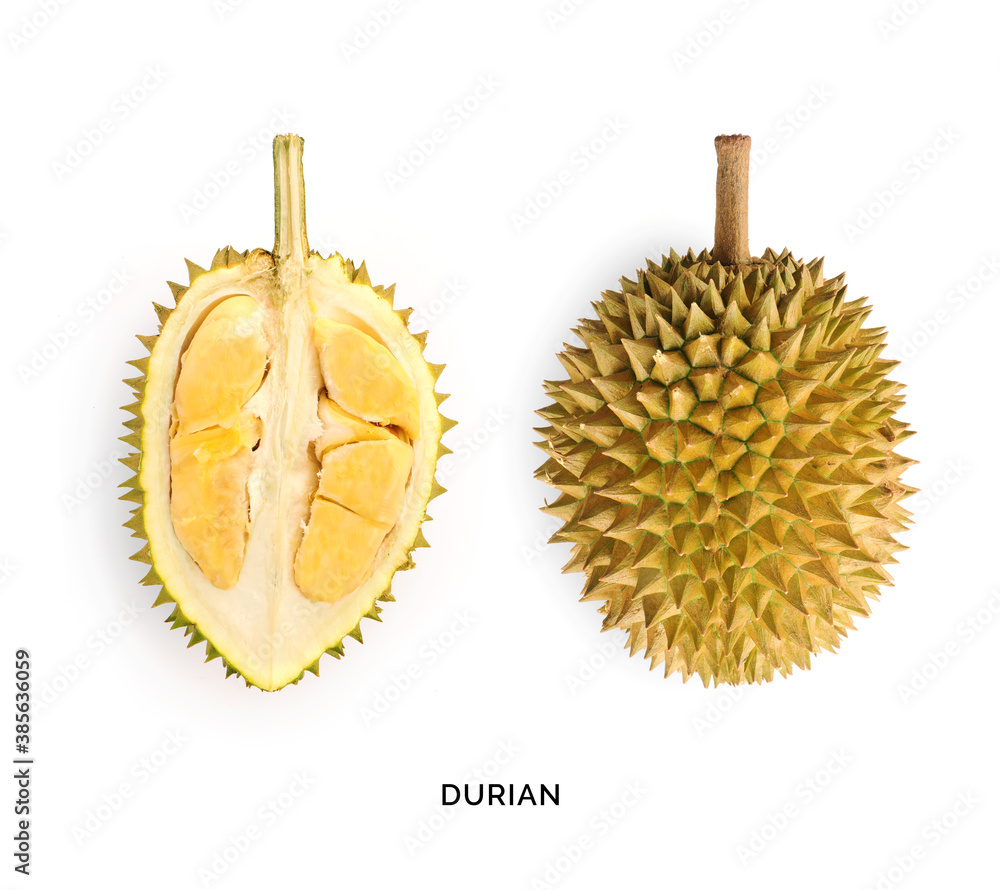 Creative layout made of durian. Flat lay. Food concept. Durian on white background.