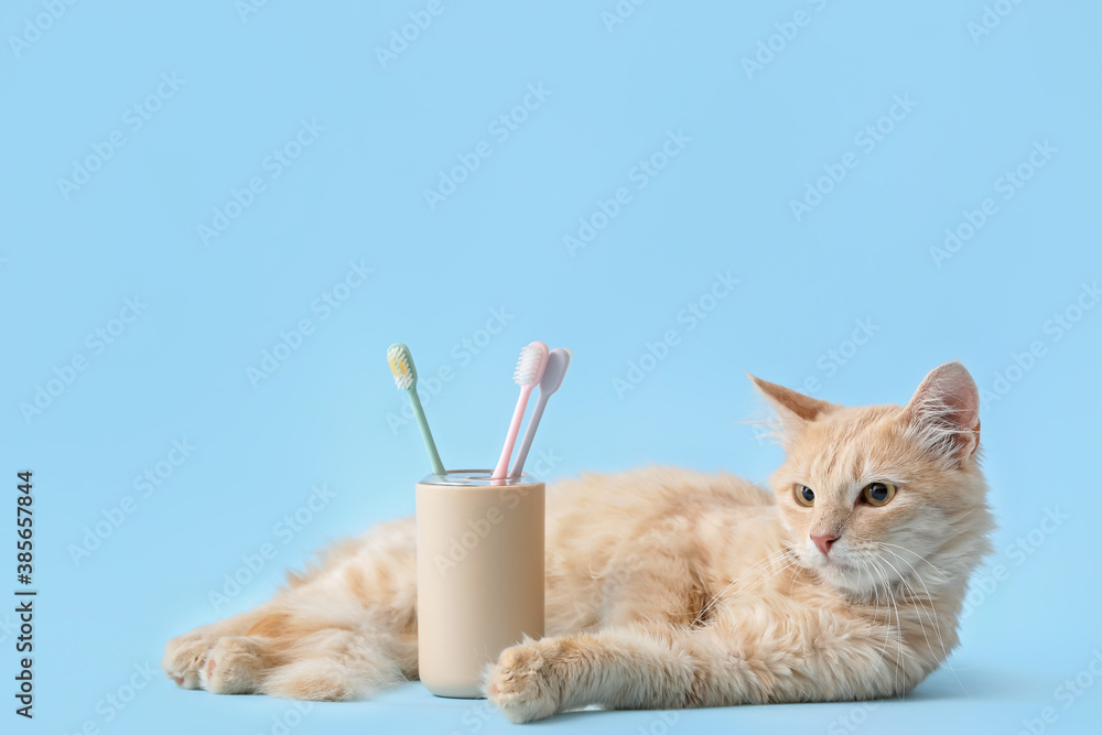 Cute cat with tooth brushes on color background