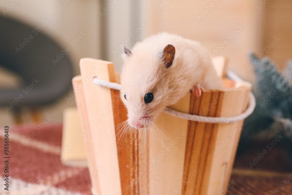 Cute funny hamster at home on Christmas eve