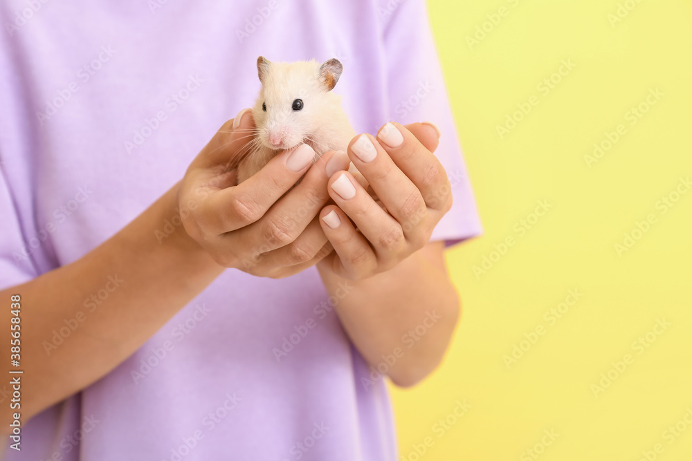 Woman with cute funny hamster on color background