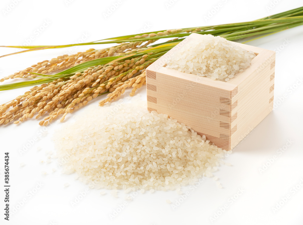 White rice, Masu and ears of rice on a white background