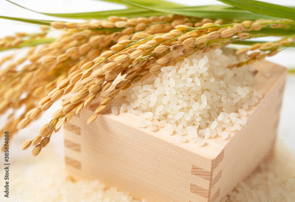 White rice, Masu and ears of rice on a white background