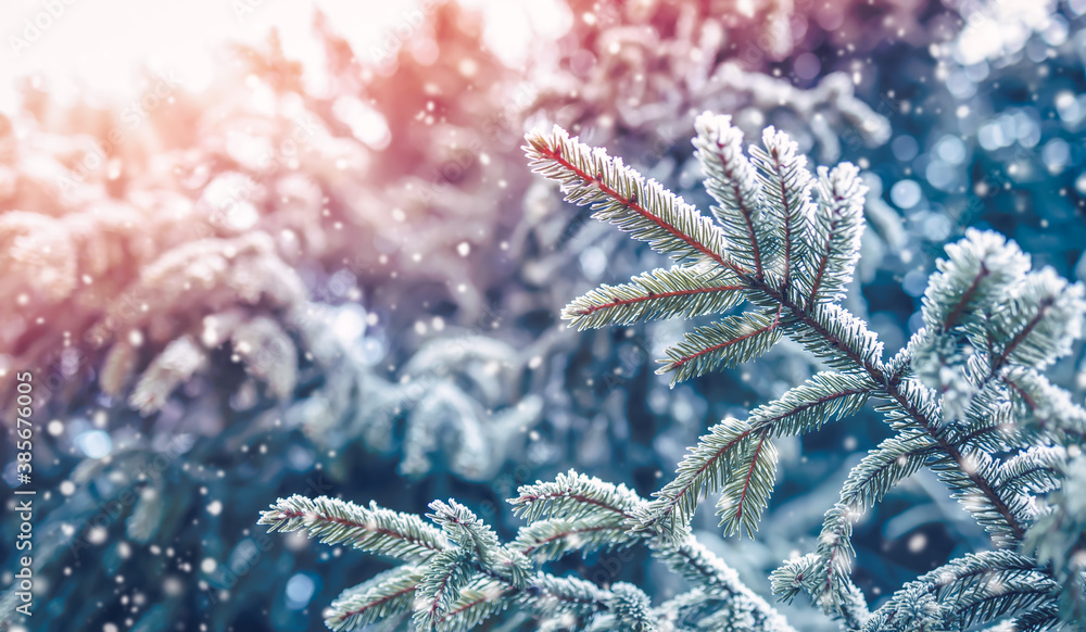 Beautiful tree in winter landscape in late evening