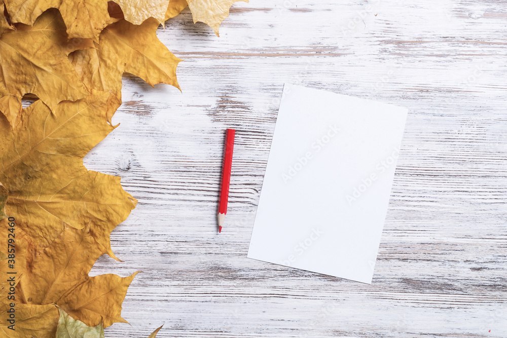 White paper sheet and pencil lies on desk