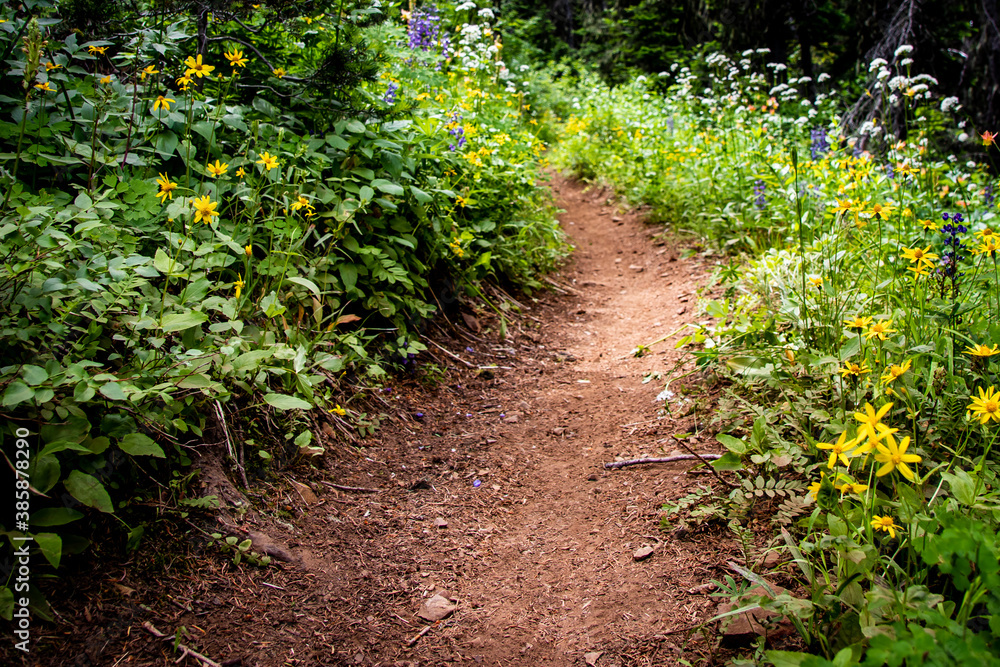 Running Trail in Eastern Washington 