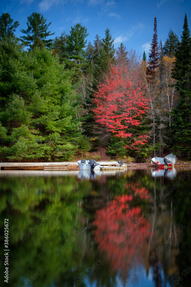 Canadian fall landscape - beautiful red maple reflected in the water