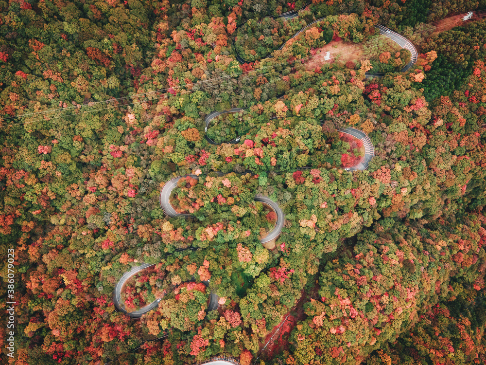 栃木県・日光・いろは坂・秋の紅葉