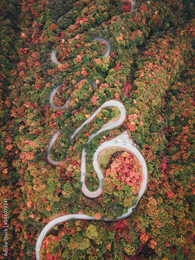 栃木県・日光・いろは坂・秋の紅葉