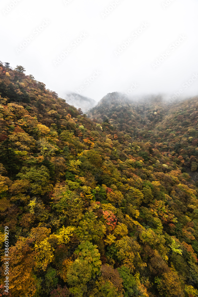 栃木県・奥日光・紅葉の秋