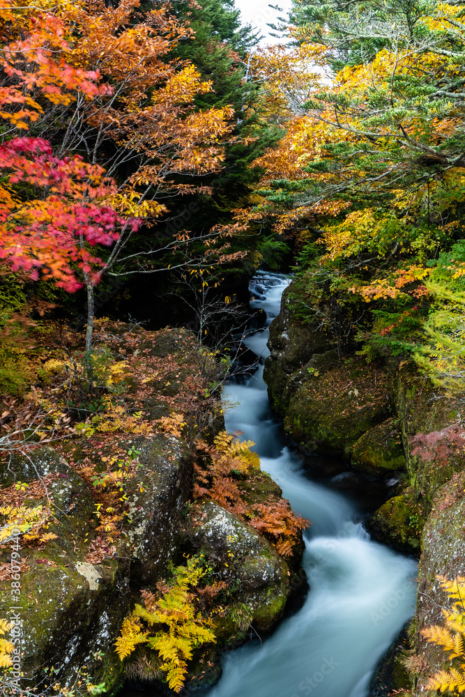 栃木県・日光・竜頭滝上駐車場付近の紅葉