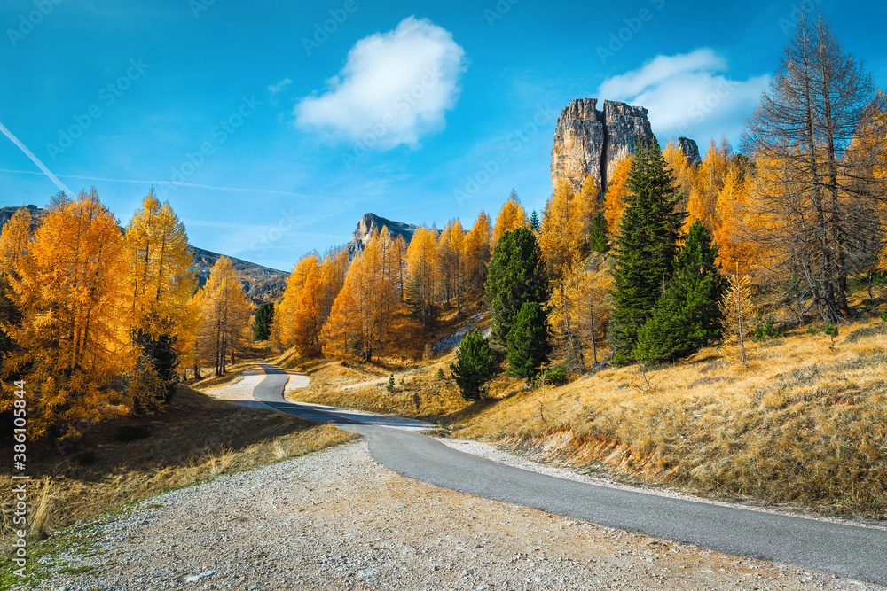 Breathtaking colorful autumn larch forest in the Dolomites, Italy