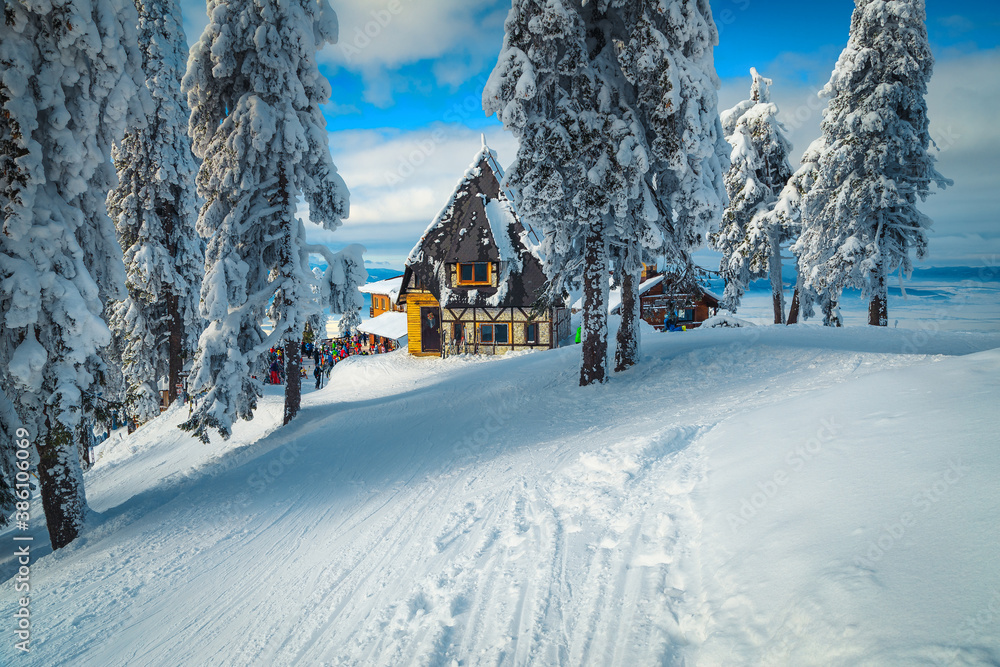 避暑山庄和白雪松的冬季景色