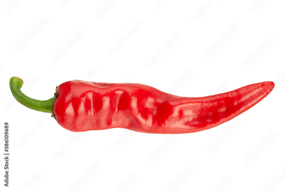 Red chili pepper