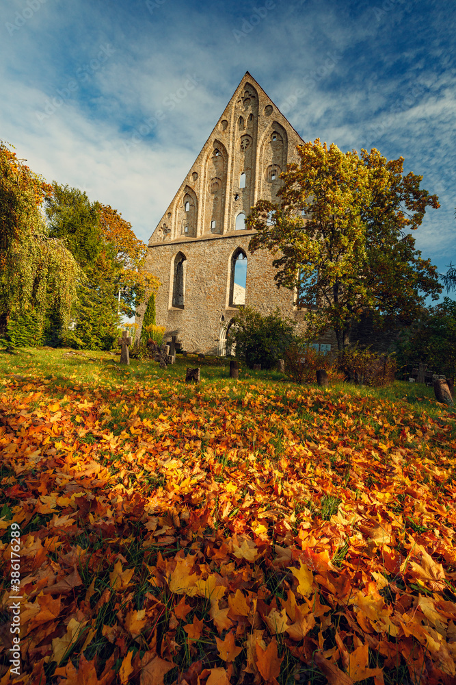 Ruins of Old Tallinn Monastery St. Brigitta in Pirita