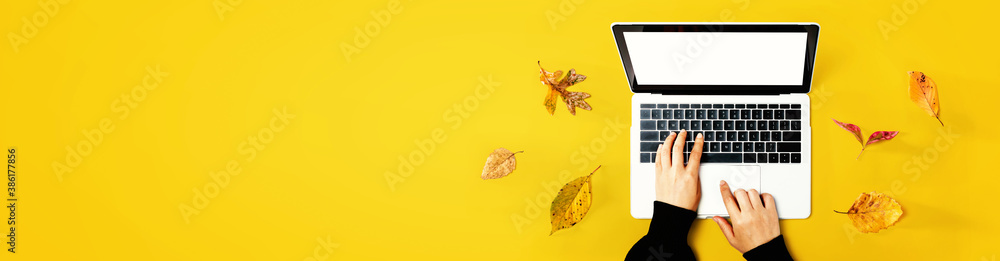 Autumn leaves with person using a laptop computer from above