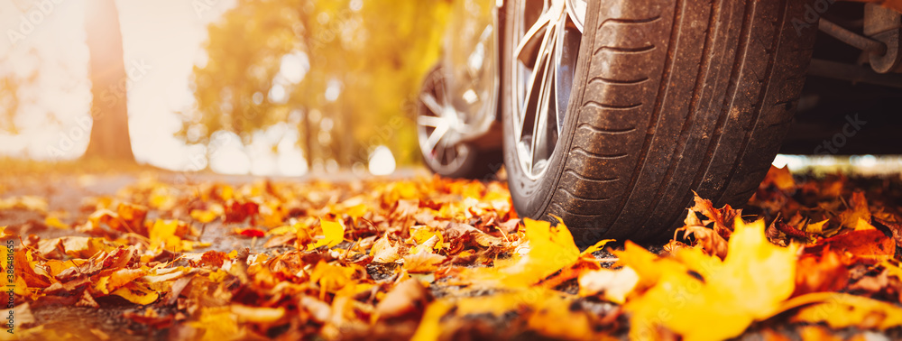 Car on asphalt road on autumn day at park