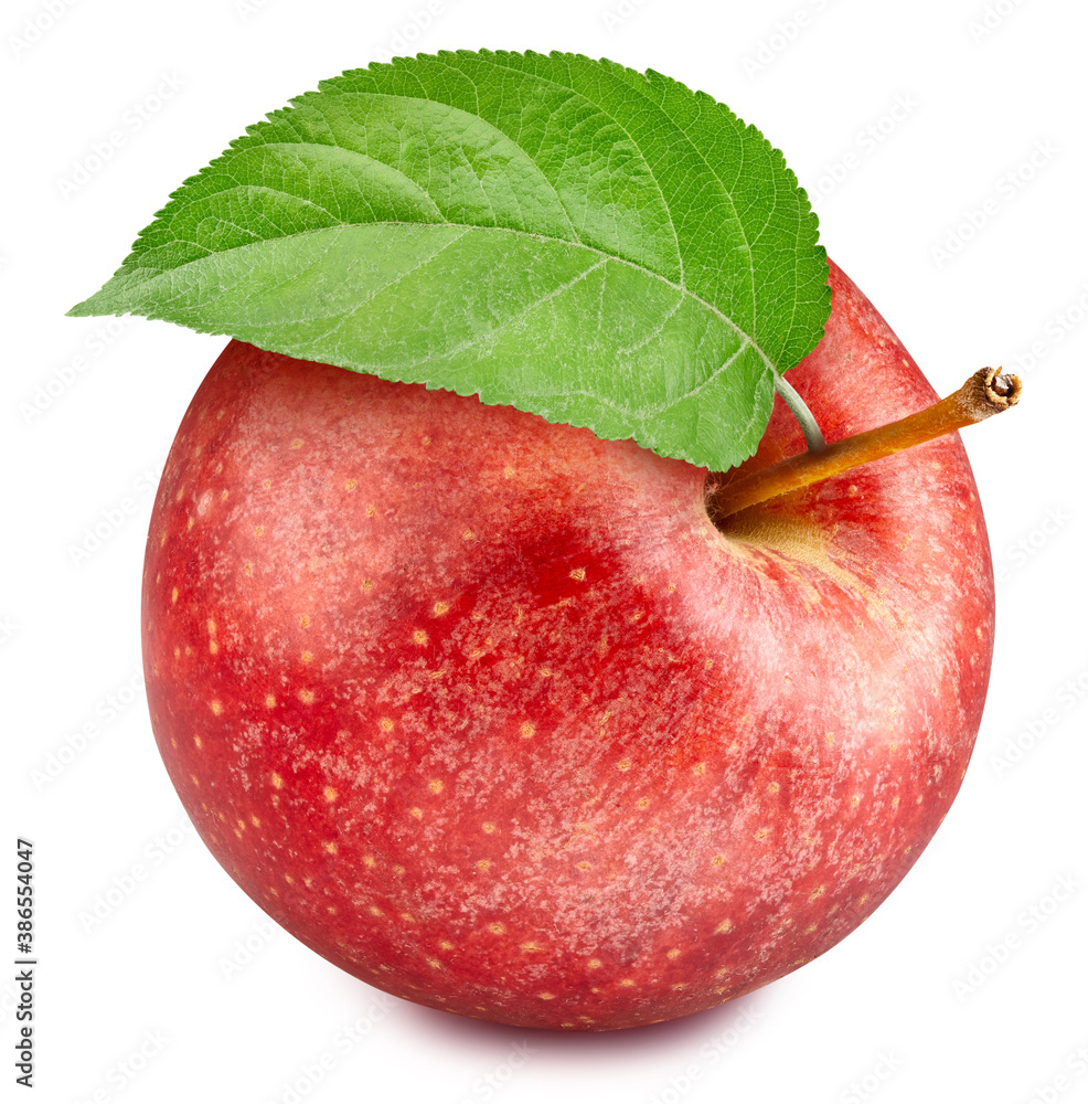 One ripe red apple with green leaf clipping path