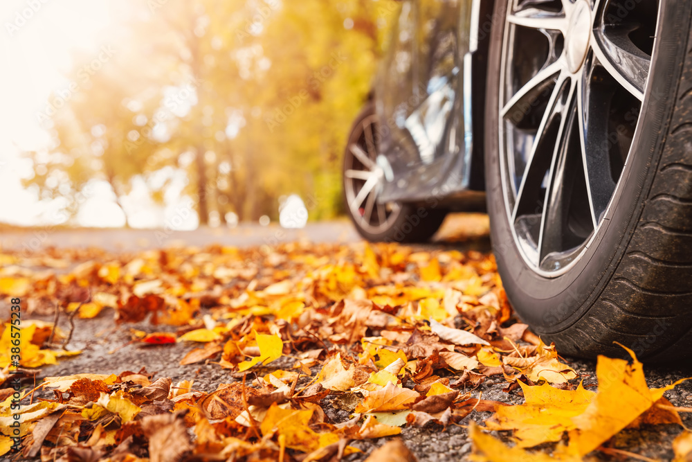 Car on asphalt road on autumnr day at park