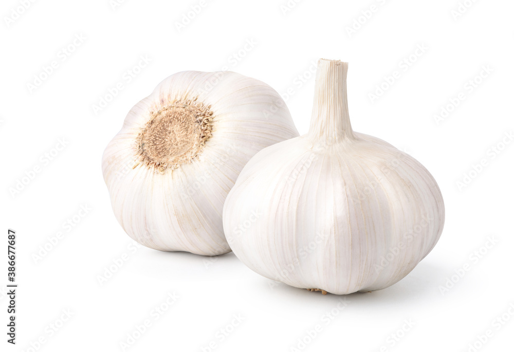 Garlic Bulb isolated on white background. Clipping path.