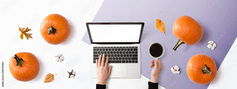 Person using a laptop computer with pumpkins - overhead view