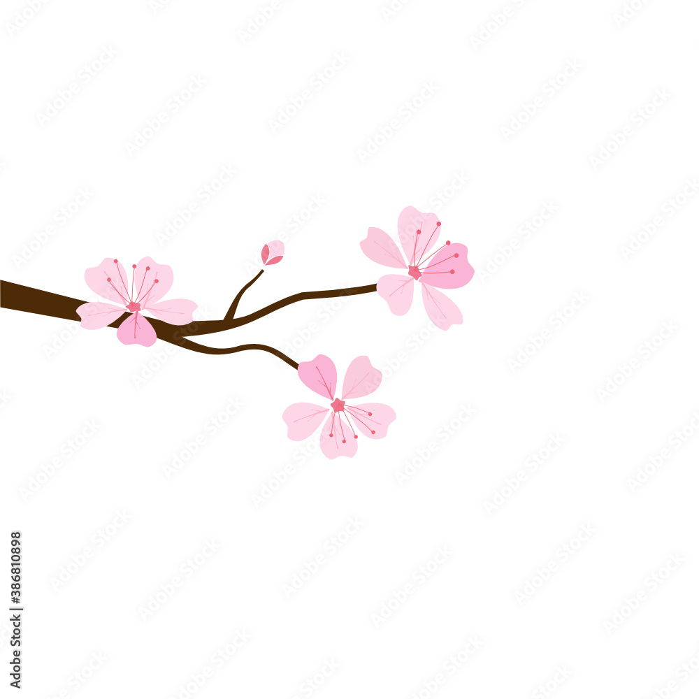 Pink cherry blossom branch on pink blur background vector. Sakura Japanese flower.