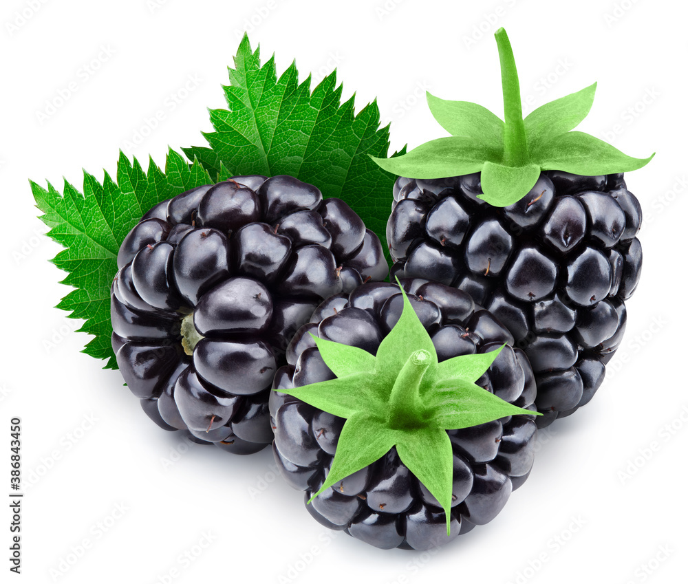 Composition of blackberries with leaves