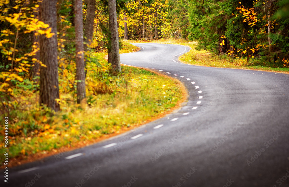 Asphalt road with beautiful trees on the sides in autumn