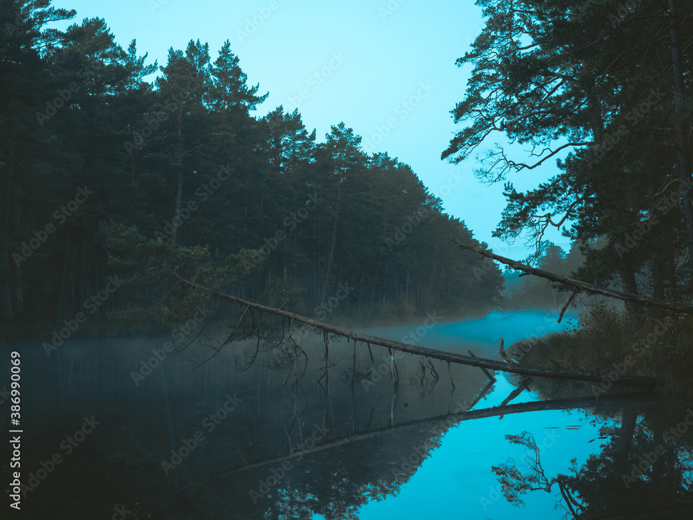 Mystical misty morning on a forest lake, somewhere in northern Europe