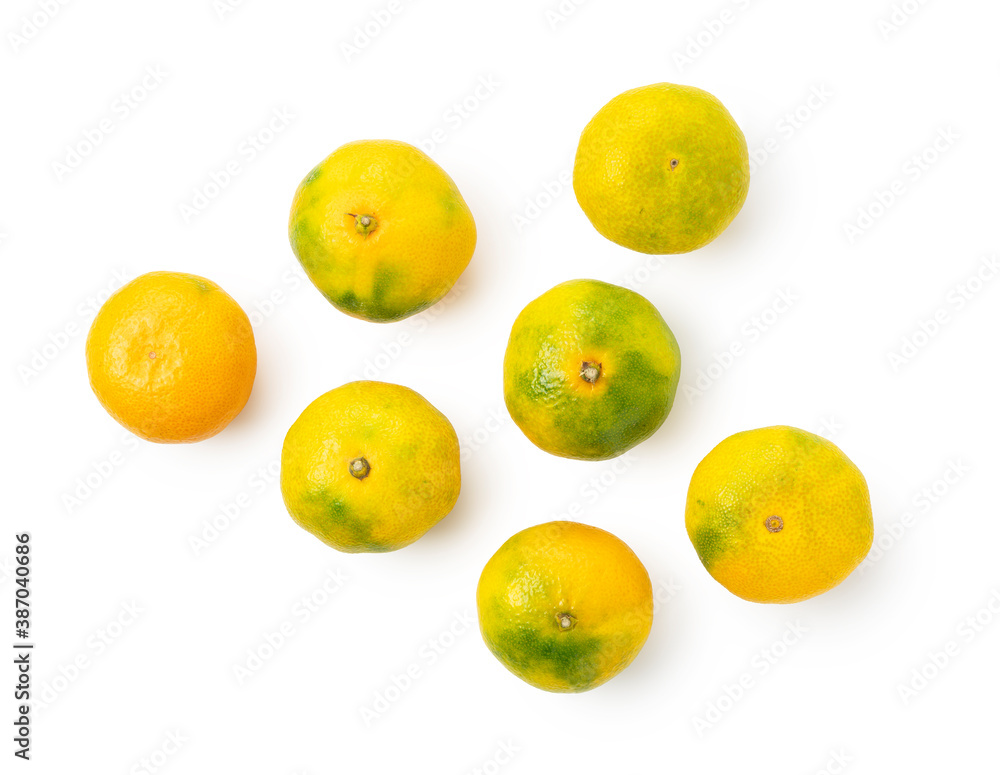 Early Japanese mandarin oranges on a white background