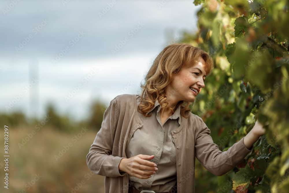 Smiling woman looking for fruits from tree.